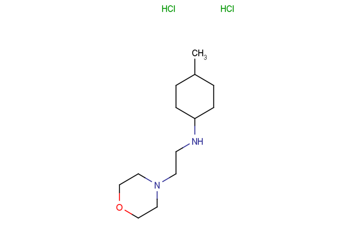 4-methyl-N-[2-(morpholin-4-yl)ethyl]cyclohexan-1-amine dihydrochloride
