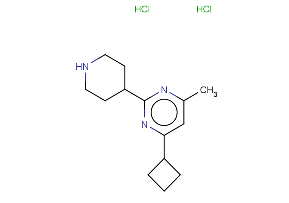 4-cyclobutyl-6-methyl-2-(piperidin-4-yl)pyrimidine dihydrochloride