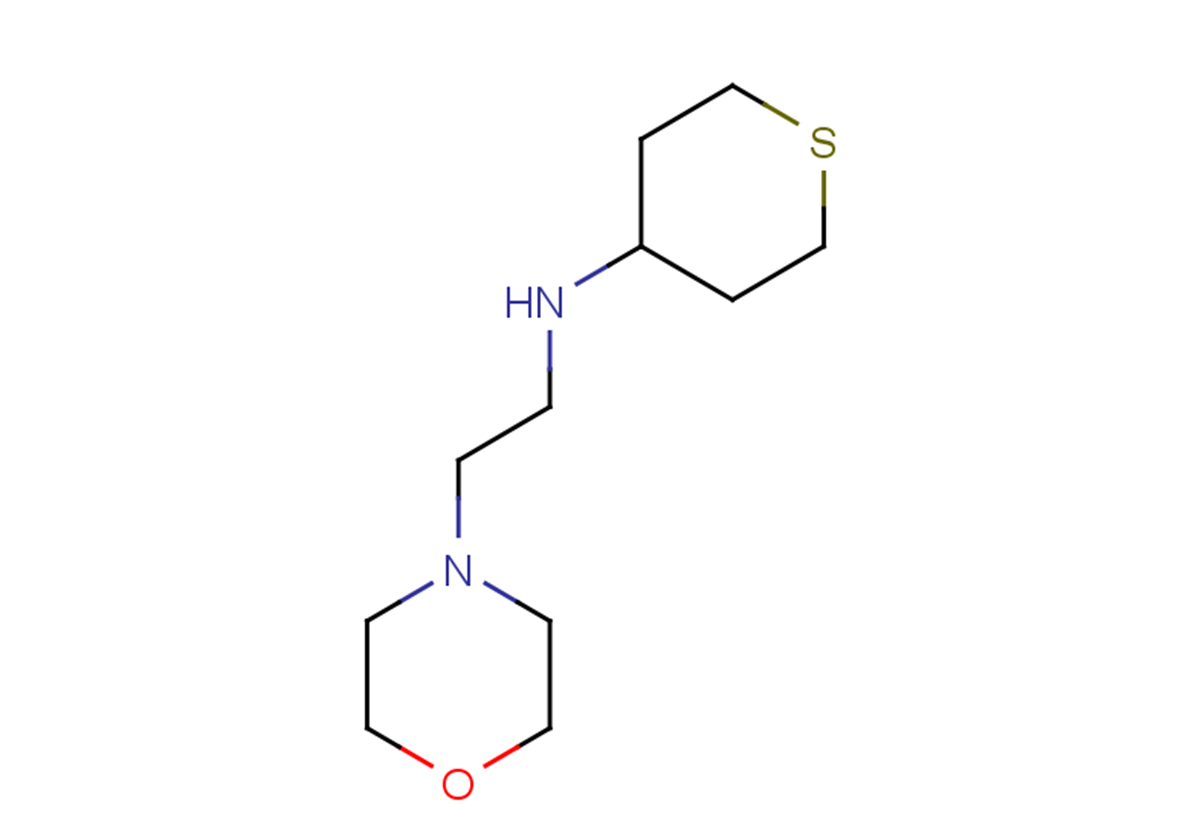 N-[2-(morpholin-4-yl)ethyl]thian-4-amine