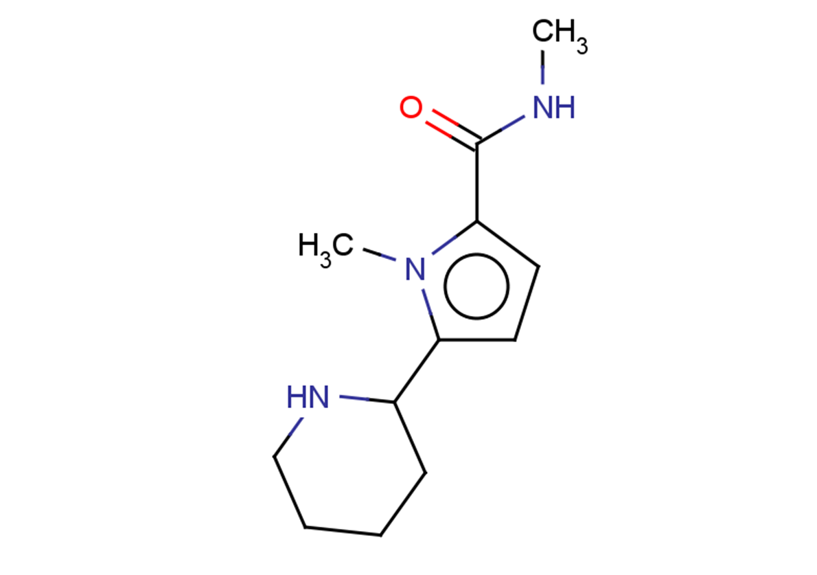 N,1-dimethyl-5-(piperidin-2-yl)-1H-pyrrole-2-carboxamide