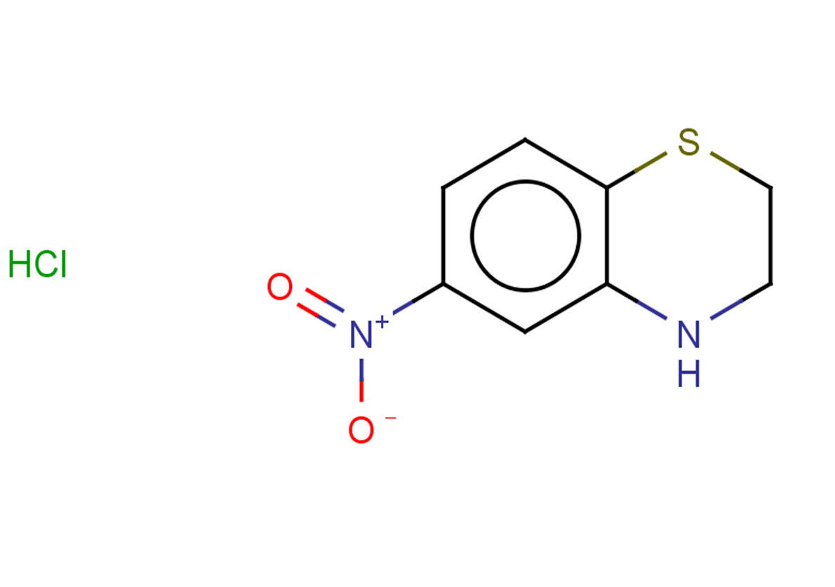 6-nitro-3,4-dihydro-2H-1,4-benzothiazine hydrochloride