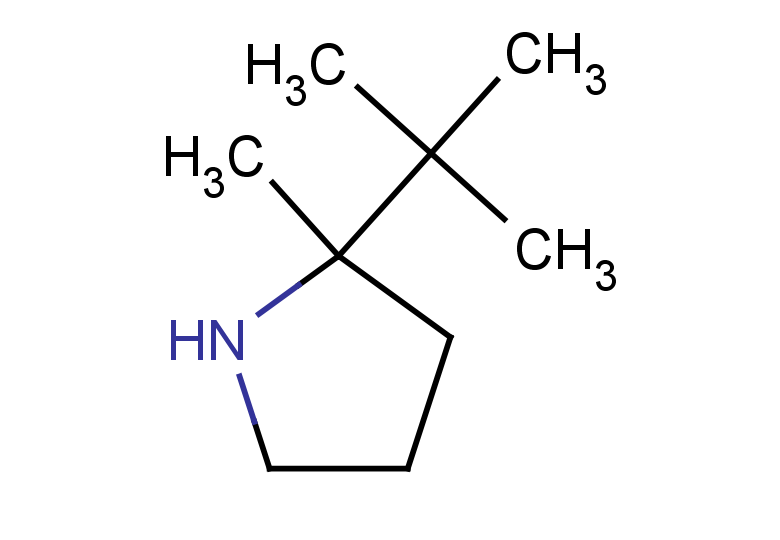 2-tert-butyl-2-methylpyrrolidine