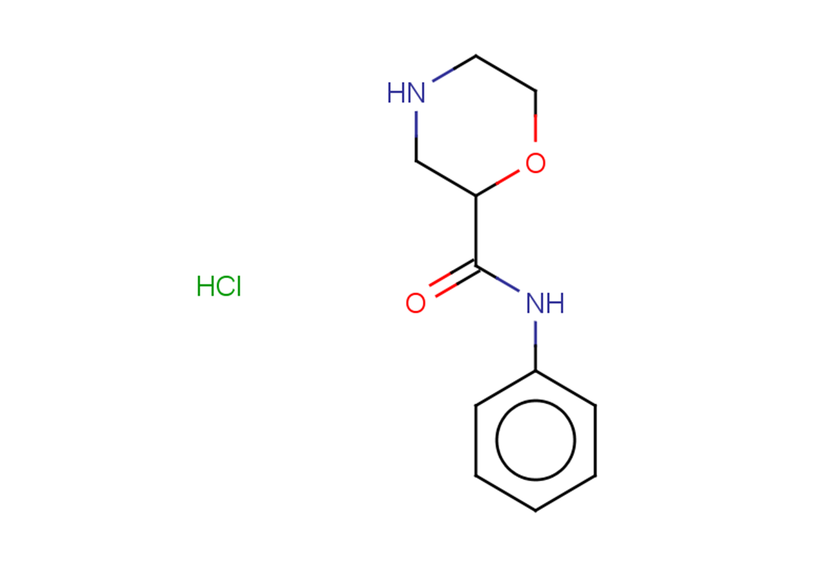 N-phenylmorpholine-2-carboxamide hydrochloride