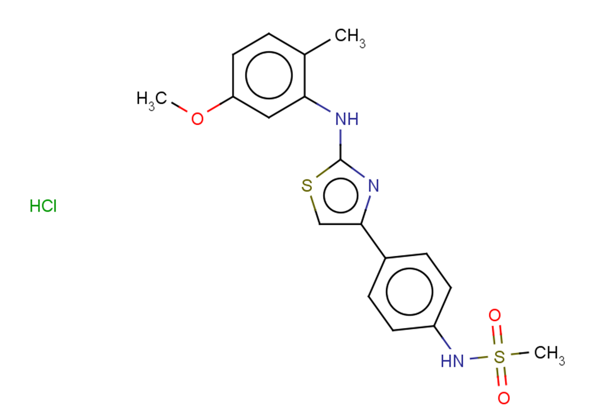 N-(4-{2-[(5-methoxy-2-methylphenyl)amino]-1,3-thiazol-4-yl}phenyl)methanesulfonamide hydrochloride