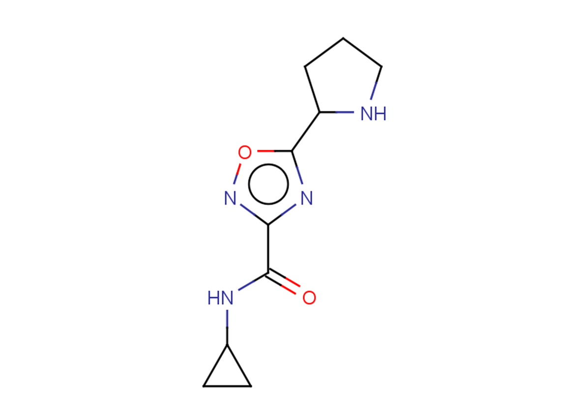 N-cyclopropyl-5-(pyrrolidin-2-yl)-1,2,4-oxadiazole-3-carboxamide