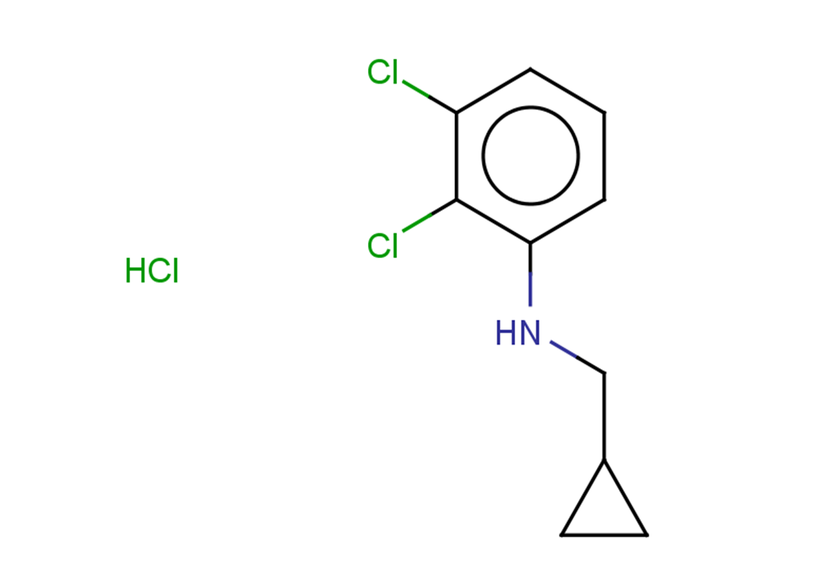 2,3-dichloro-N-(cyclopropylmethyl)aniline hydrochloride