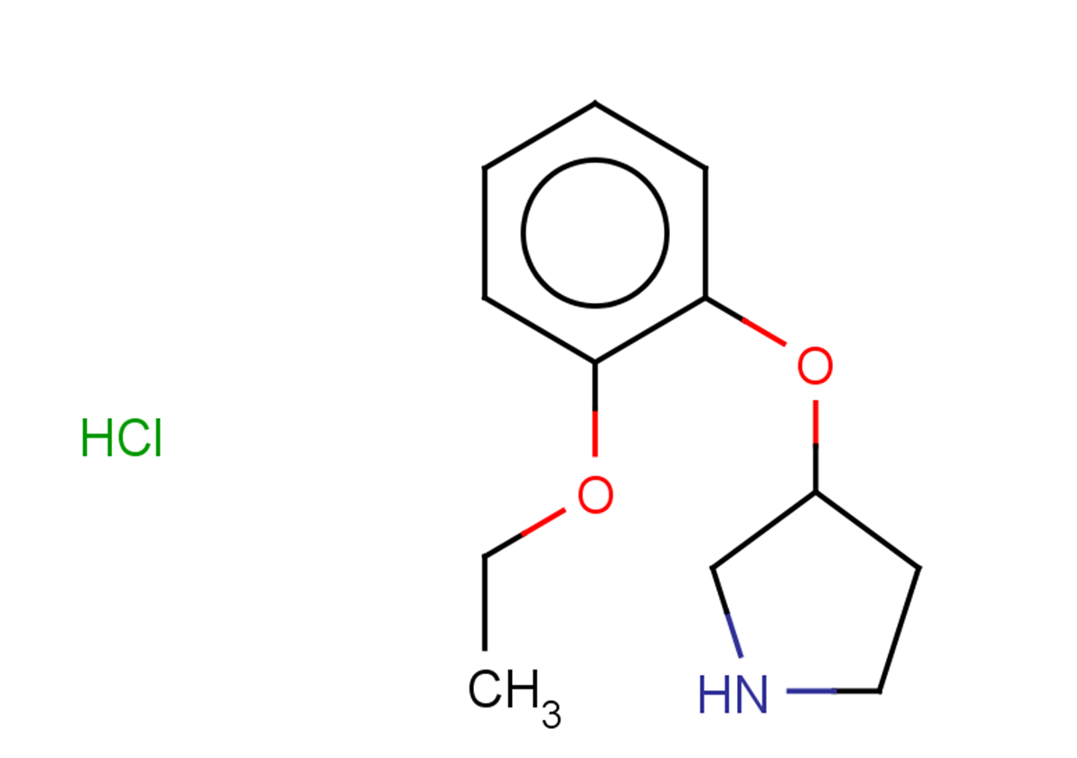 3-(2-ETHOXYPHENOXY)PYRROLIDINE HYDROCHLORIDE