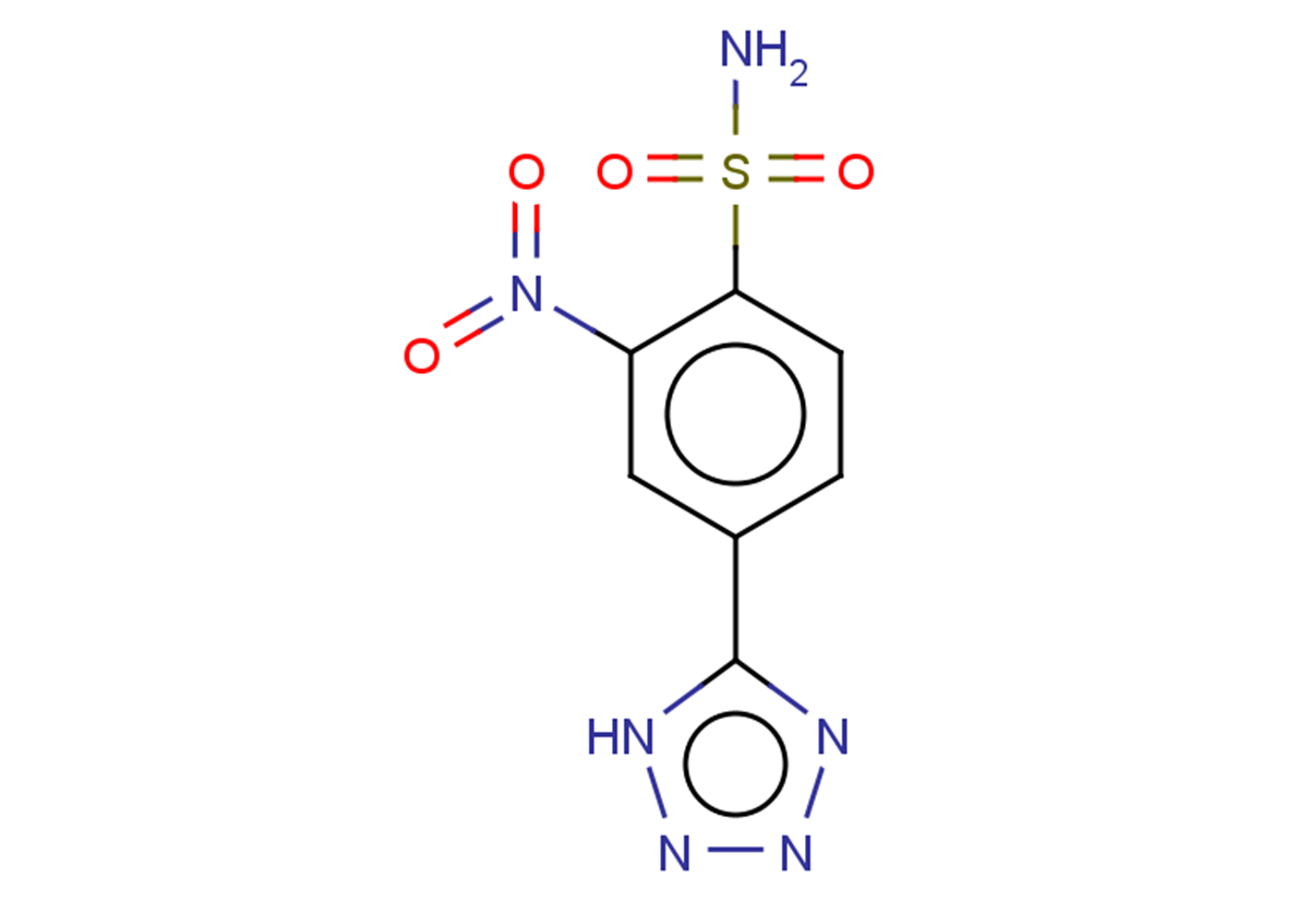 2-nitro-4-(1H-1,2,3,4-tetrazol-5-yl)benzene-1-sulfonamide