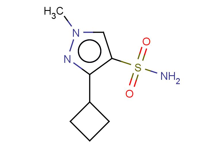 3-cyclobutyl-1-methyl-1H-pyrazole-4-sulfonamide
