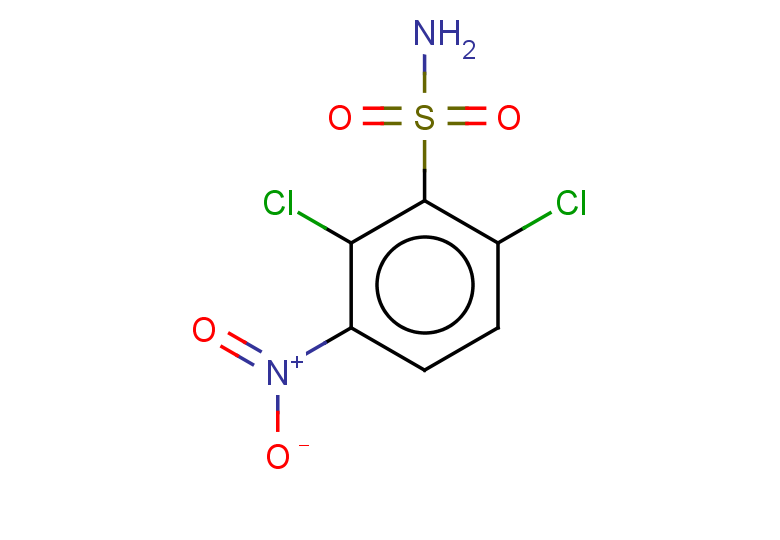 2,6-dichloro-3-nitrobenzene-1-sulfonamide