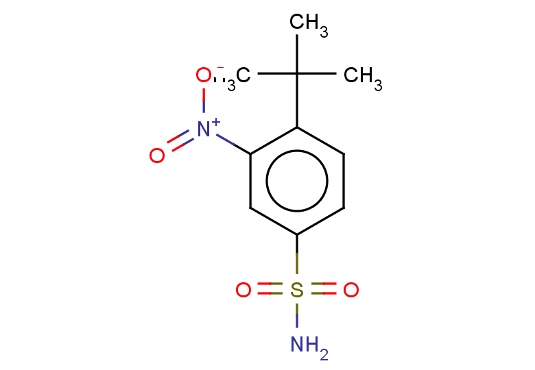 4-tert-butyl-3-nitrobenzene-1-sulfonamide