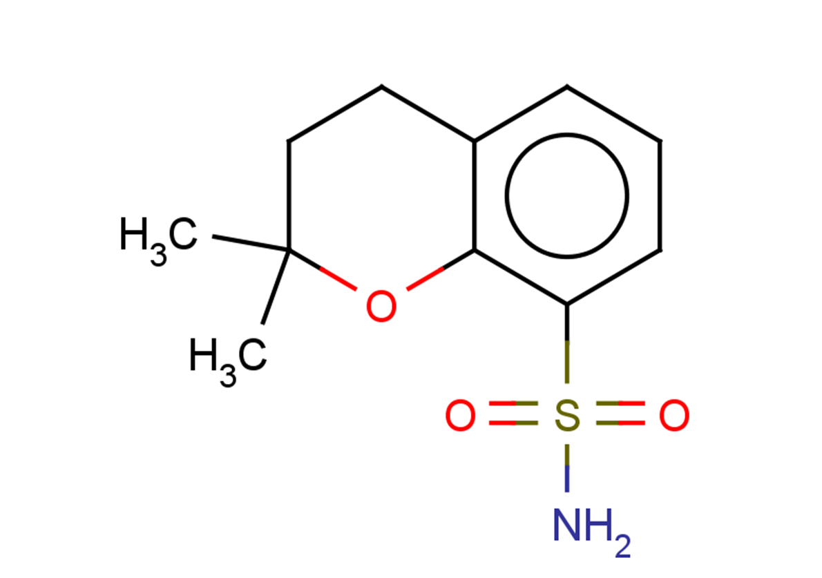 2,2-dimethyl-3,4-dihydro-2H-1-benzopyran-8-sulfonamide