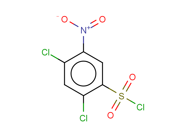 2,4-dichloro-5-nitrobenzene-1-sulfonyl chloride