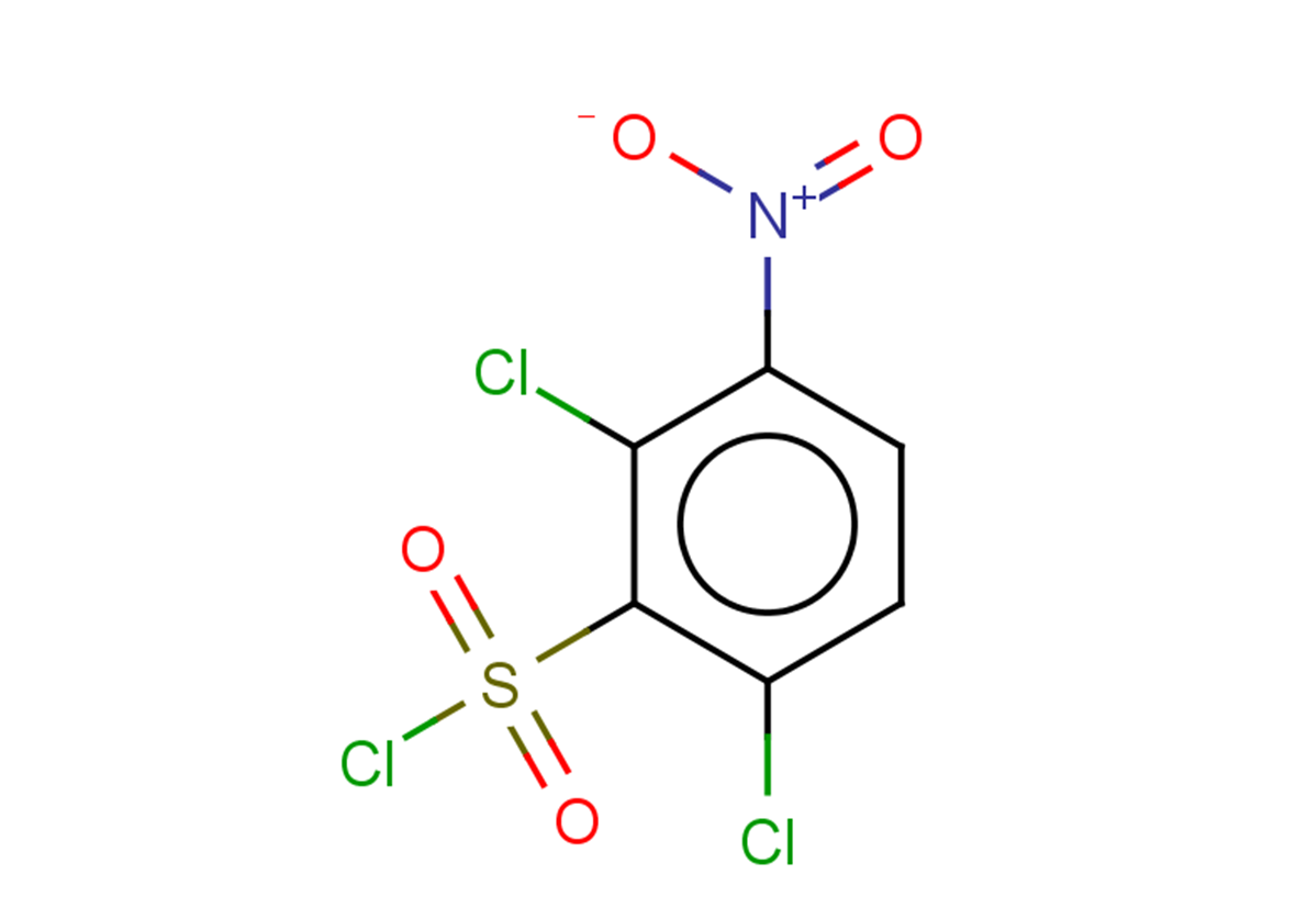 2,6-dichloro-3-nitrobenzene-1-sulfonyl chloride