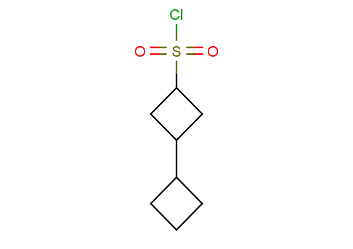 [1,1'-bi(cyclobutane)]-3-sulfonyl chloride