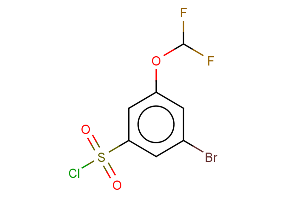 3-bromo-5-(difluoromethoxy)benzene-1-sulfonyl chloride