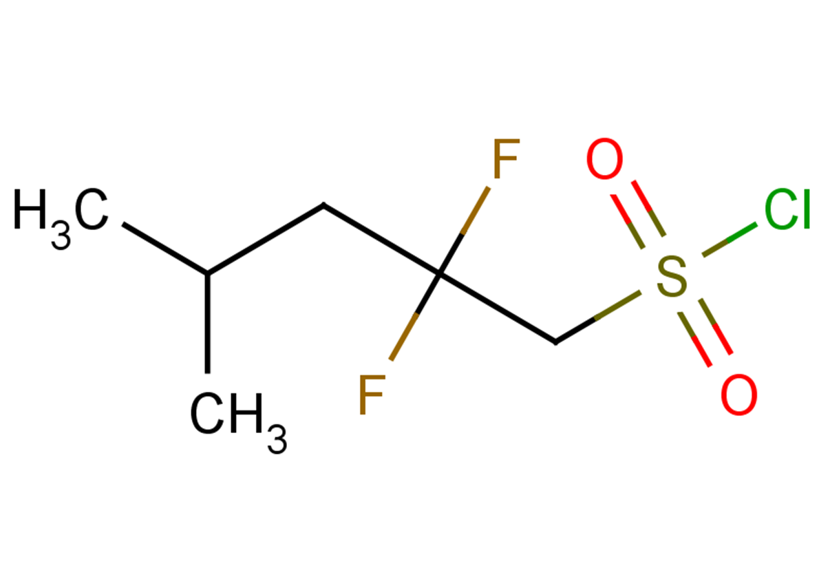 2,2-difluoro-4-methylpentane-1-sulfonyl chloride