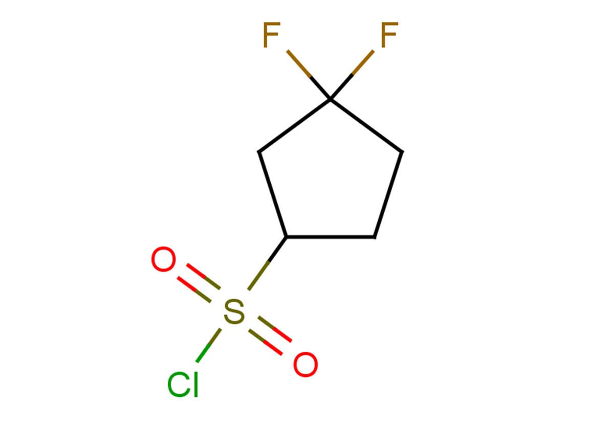 3,3-difluorocyclopentane-1-sulfonyl chloride