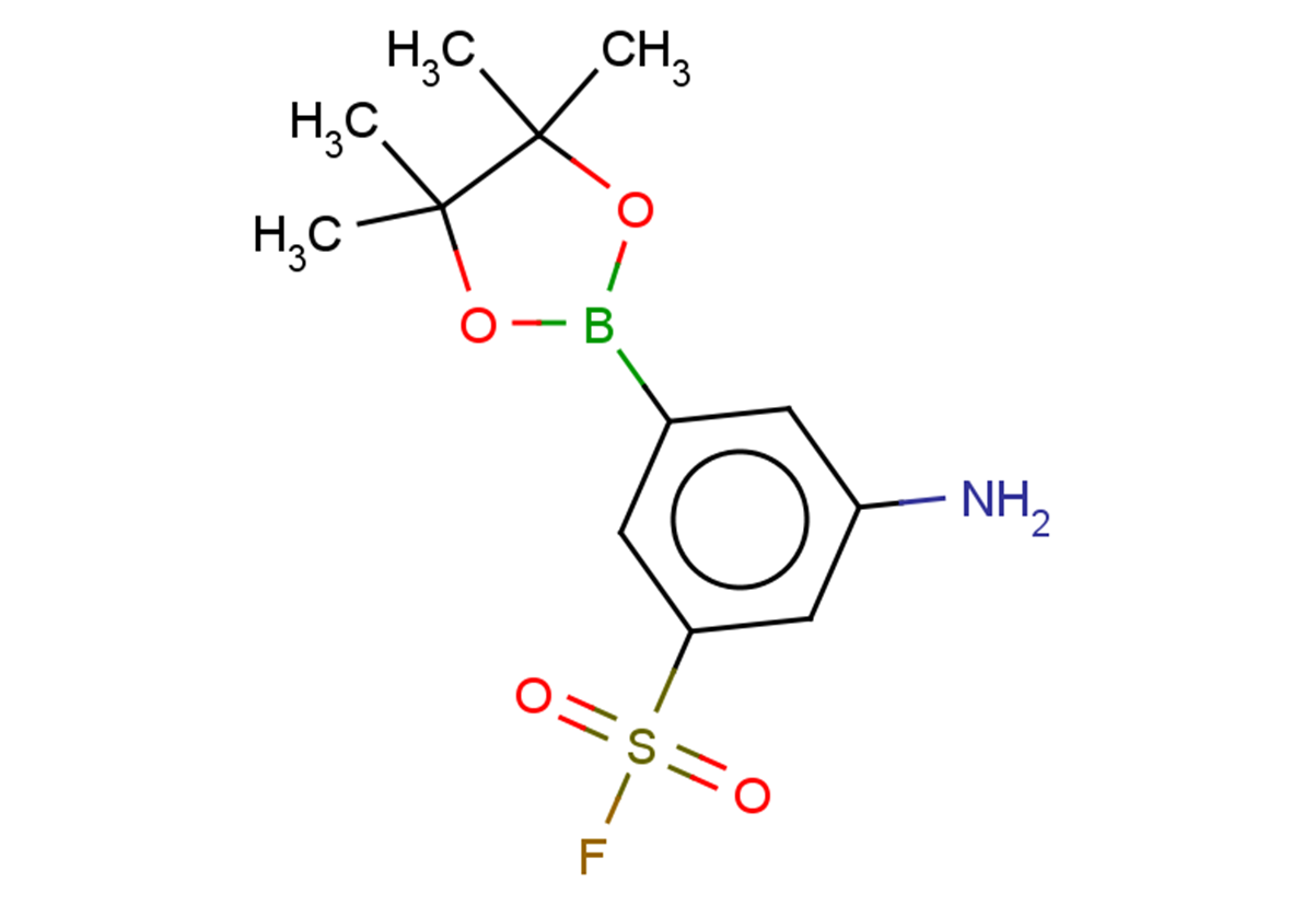 3-amino-5-(4,4,5,5-tetramethyl-1,3,2-dioxaborolan-2-yl)benzene-1-sulfonyl fluoride