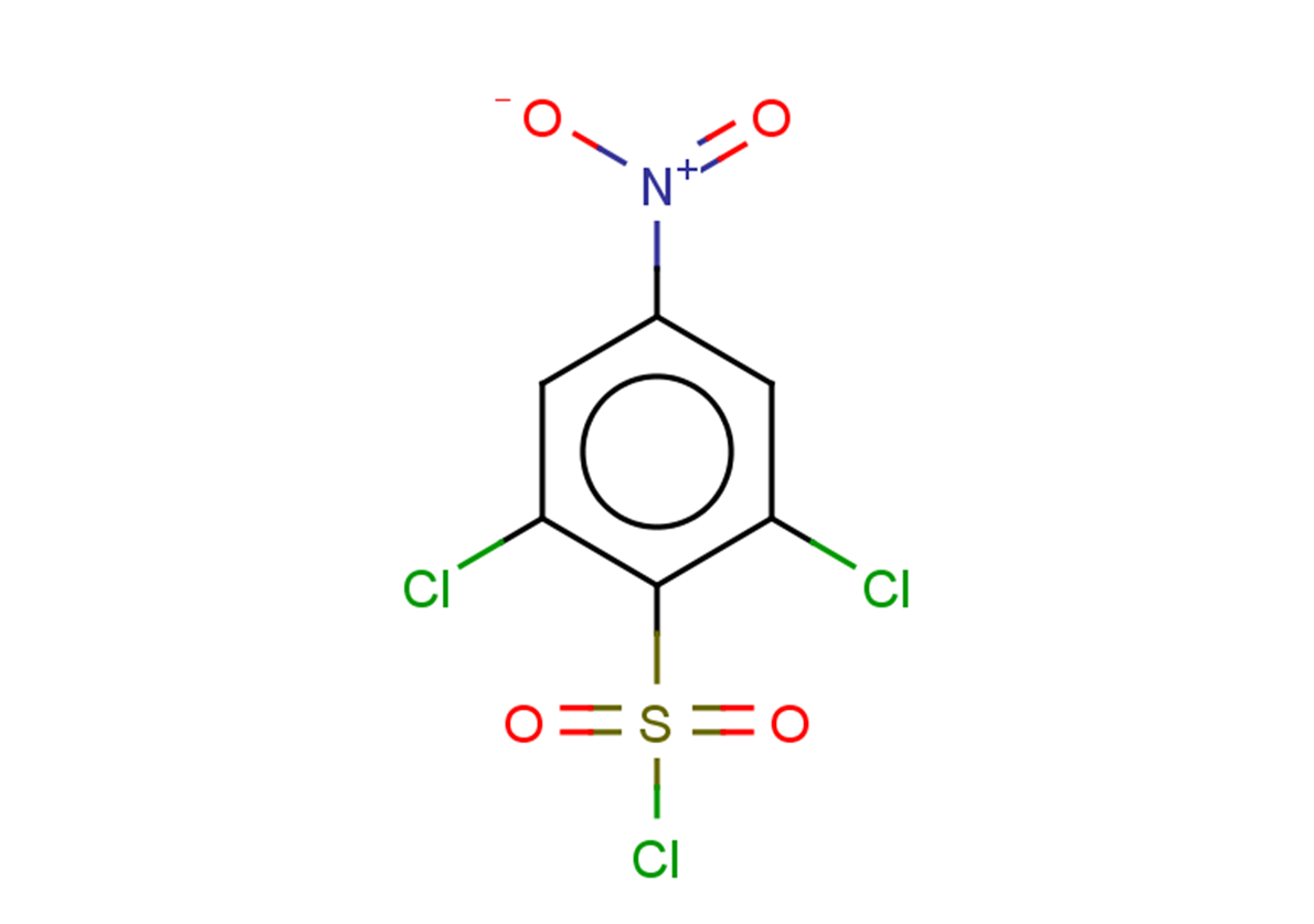 2,6-dichloro-4-nitrobenzene-1-sulfonyl chloride