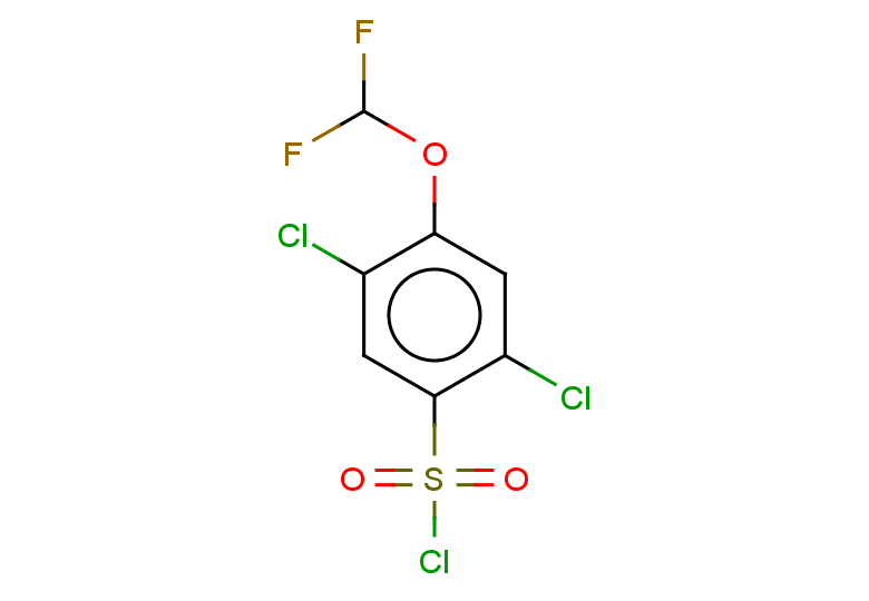 2,5-dichloro-4-(difluoromethoxy)benzene-1-sulfonyl chloride