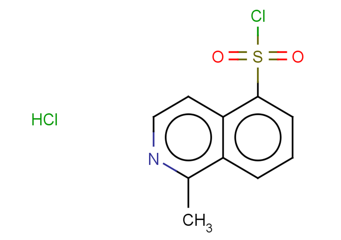 1-methylisoquinoline-5-sulfonyl chloride hydrochloride