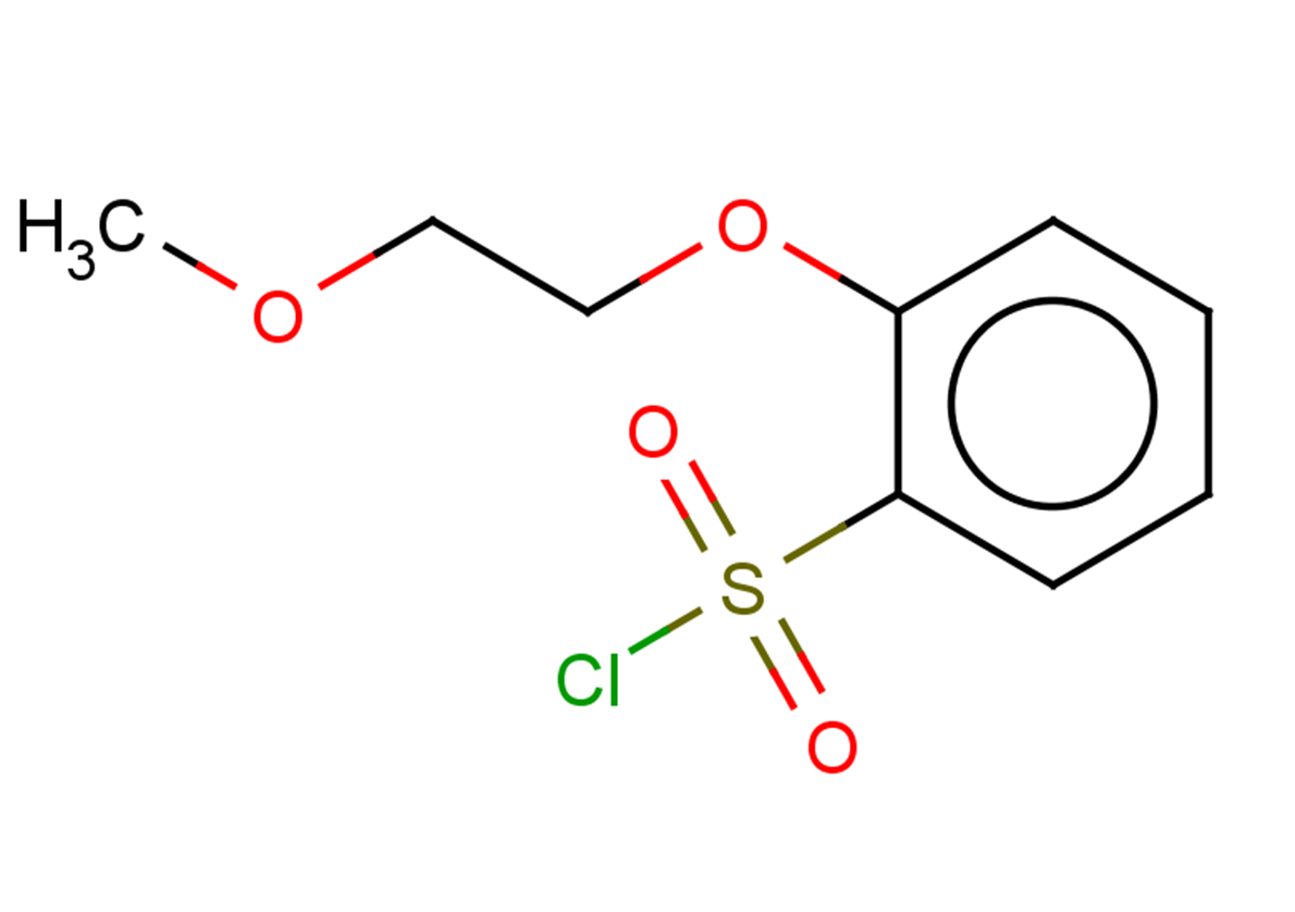 2-(2-methoxyethoxy)benzene-1-sulfonyl chloride
