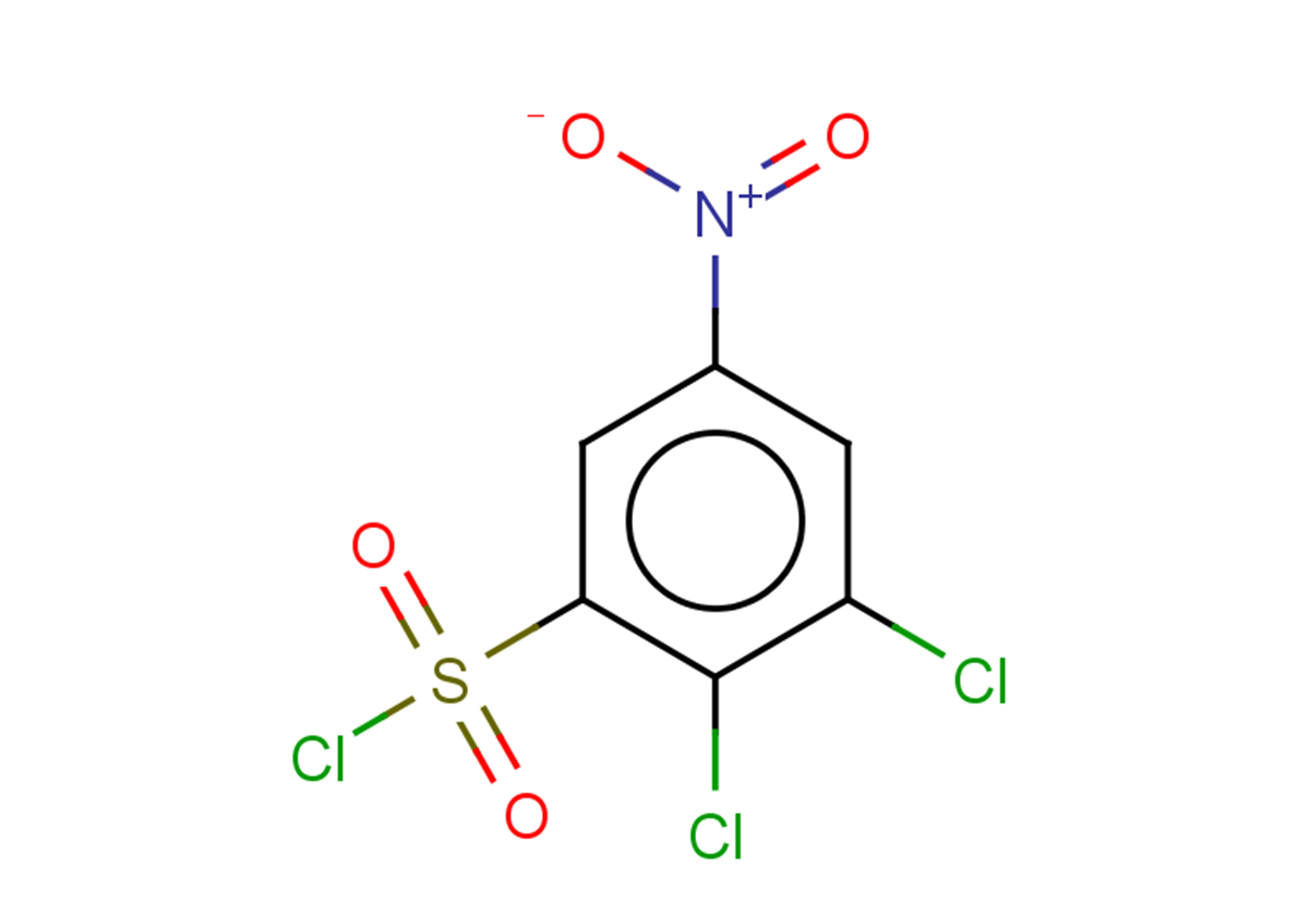 2,3-dichloro-5-nitrobenzene-1-sulfonyl chloride