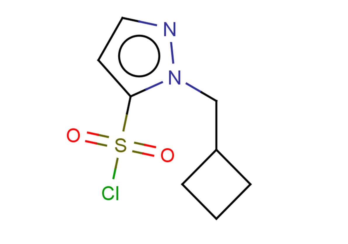 1-(cyclobutylmethyl)-1H-pyrazole-5-sulfonyl chloride