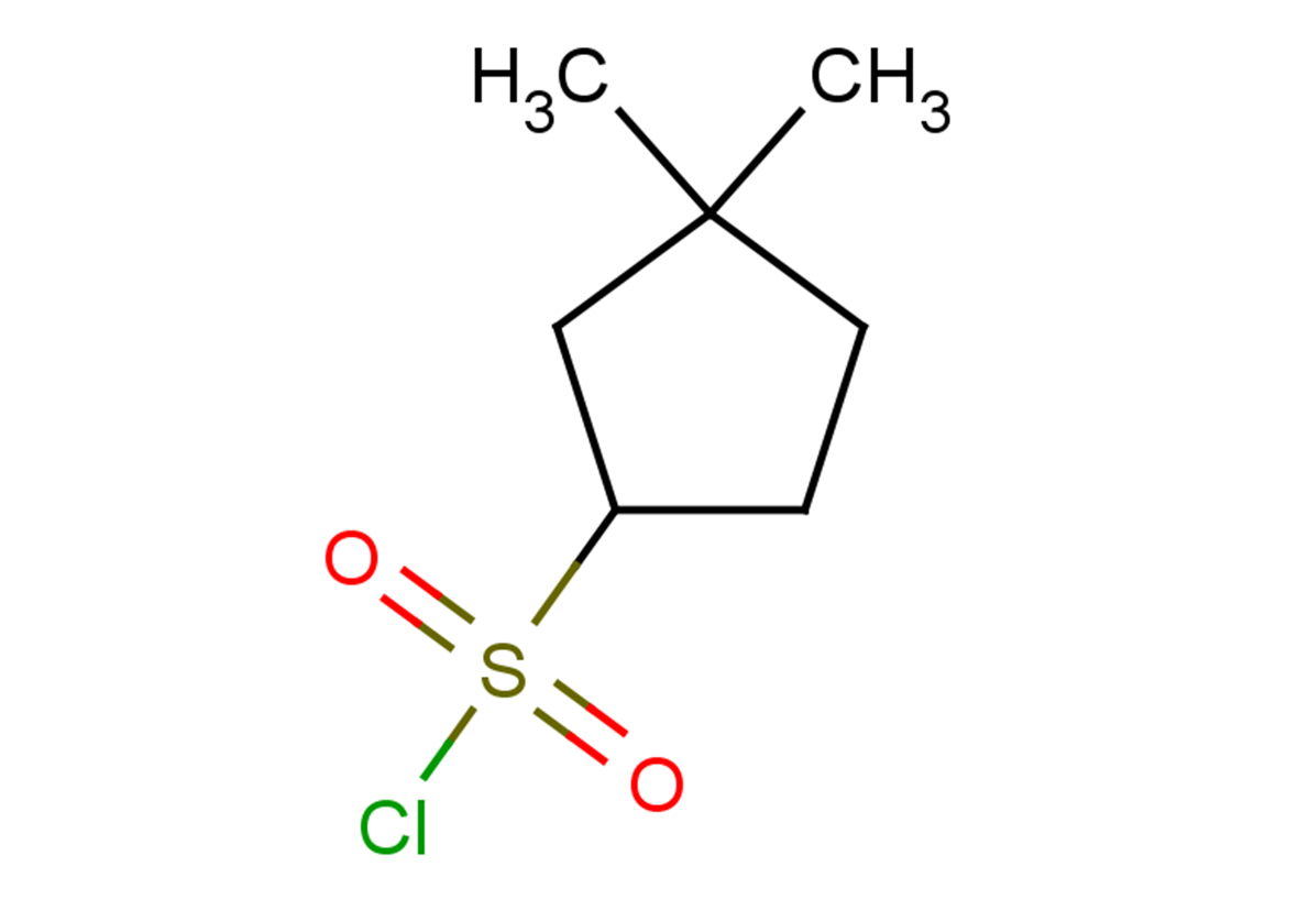 3,3-dimethylcyclopentane-1-sulfonyl chloride