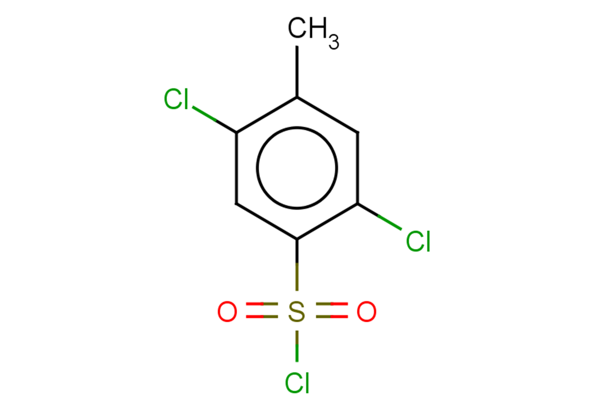 2,5-dichloro-4-methylbenzene-1-sulfonyl chloride