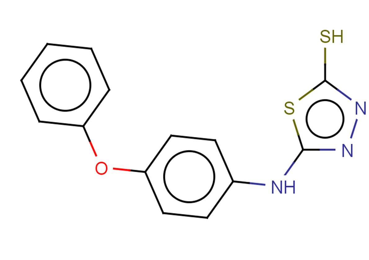 5-[(4-phenoxyphenyl)amino]-1,3,4-thiadiazole-2-thiol