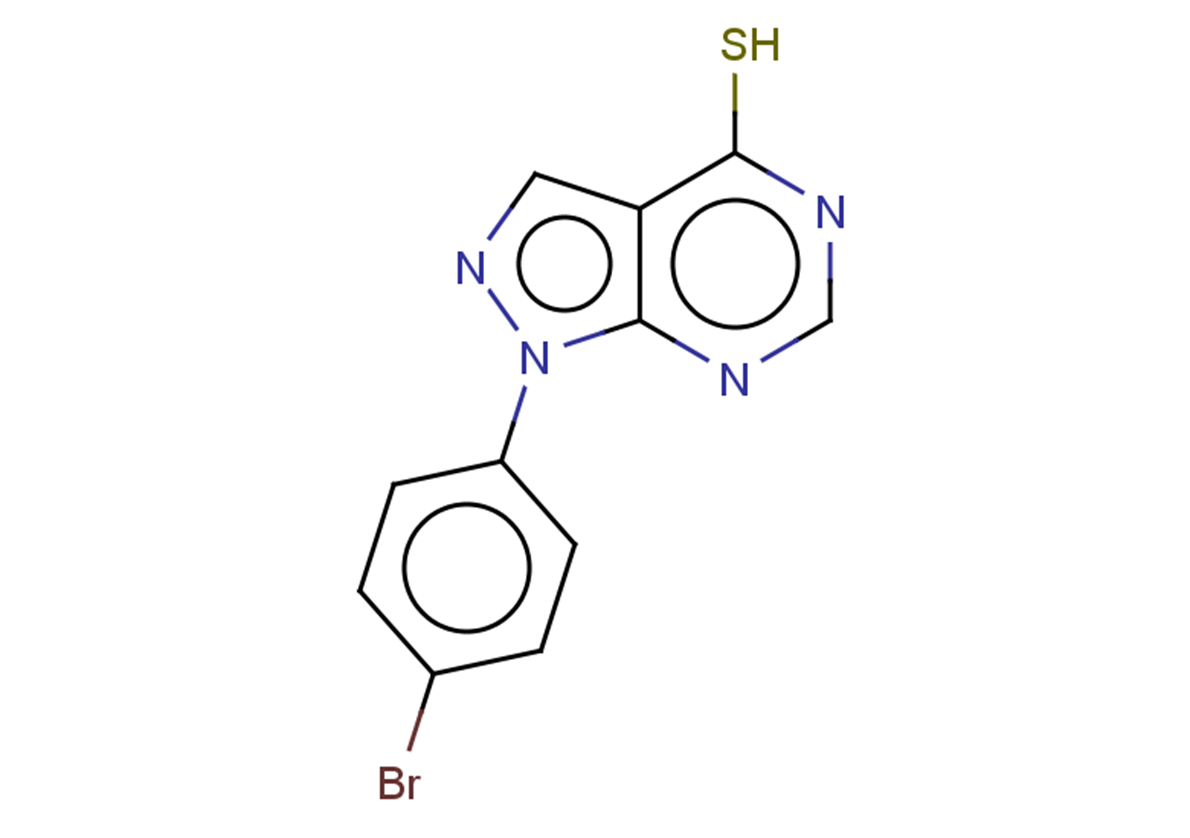 1-(4-bromophenyl)-1H-pyrazolo[3,4-d]pyrimidine-4-thiol