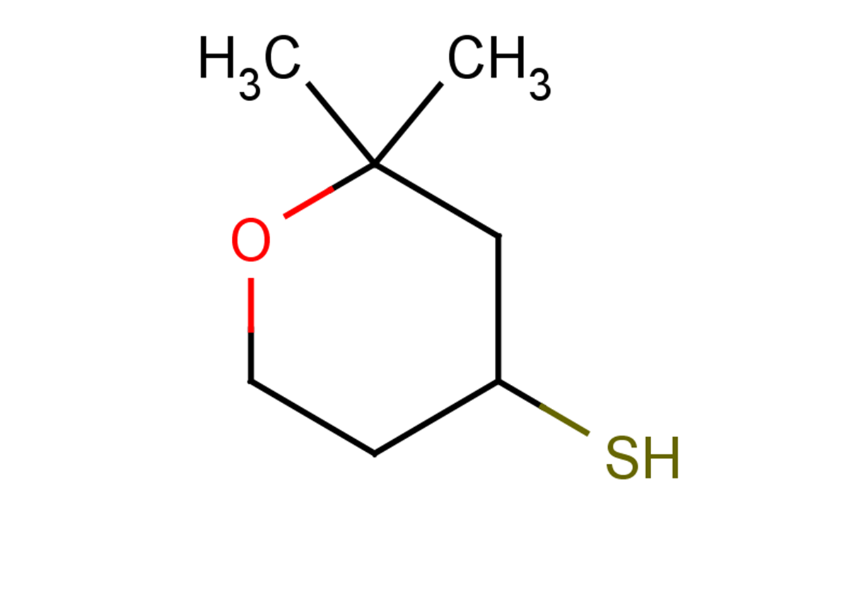 2,2-dimethyloxane-4-thiol