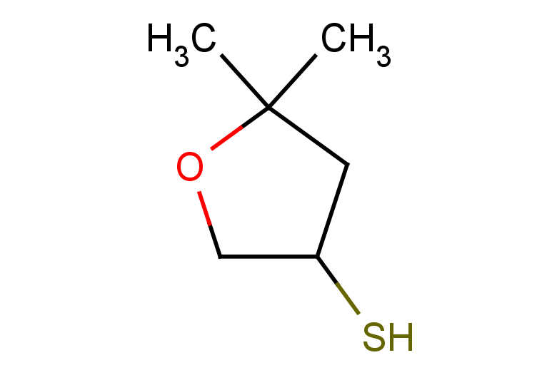 5,5-dimethyloxolane-3-thiol