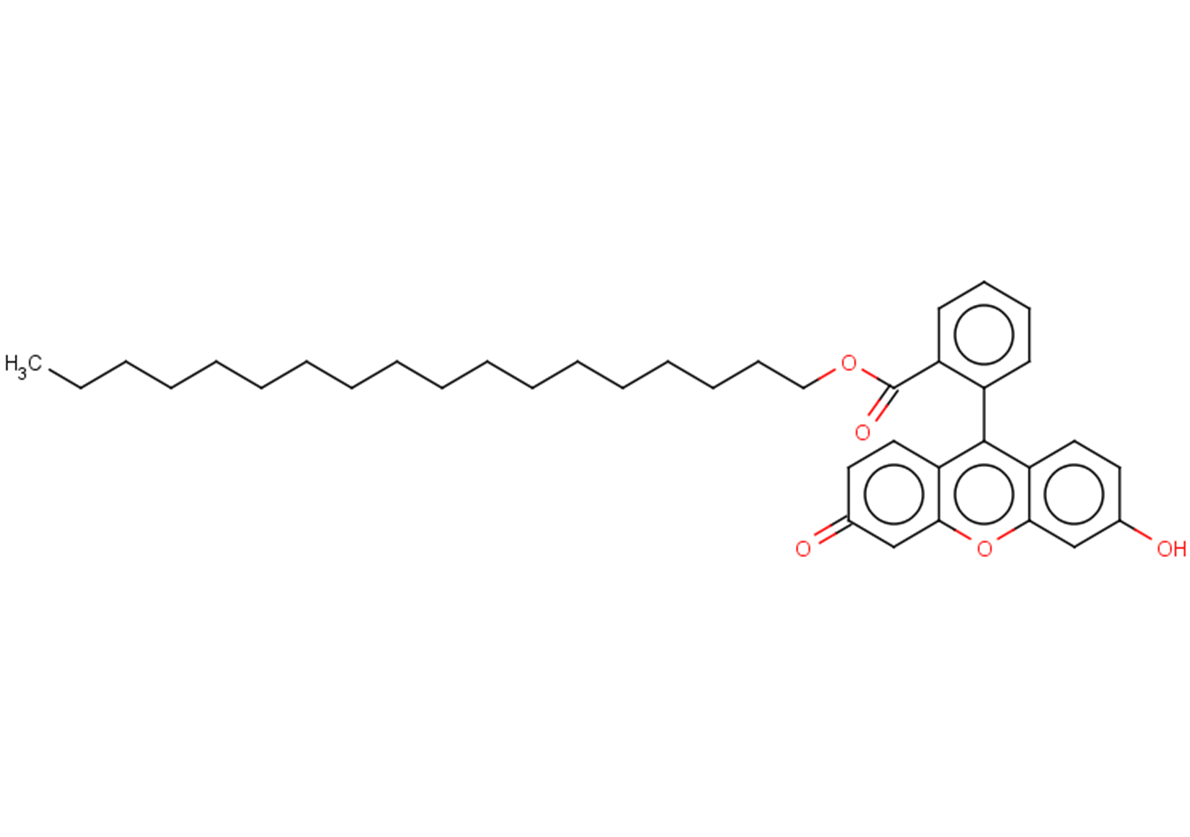 octadecyl 2-(6-hydroxy-3-oxo-3H-xanthen-9-yl)benzoate