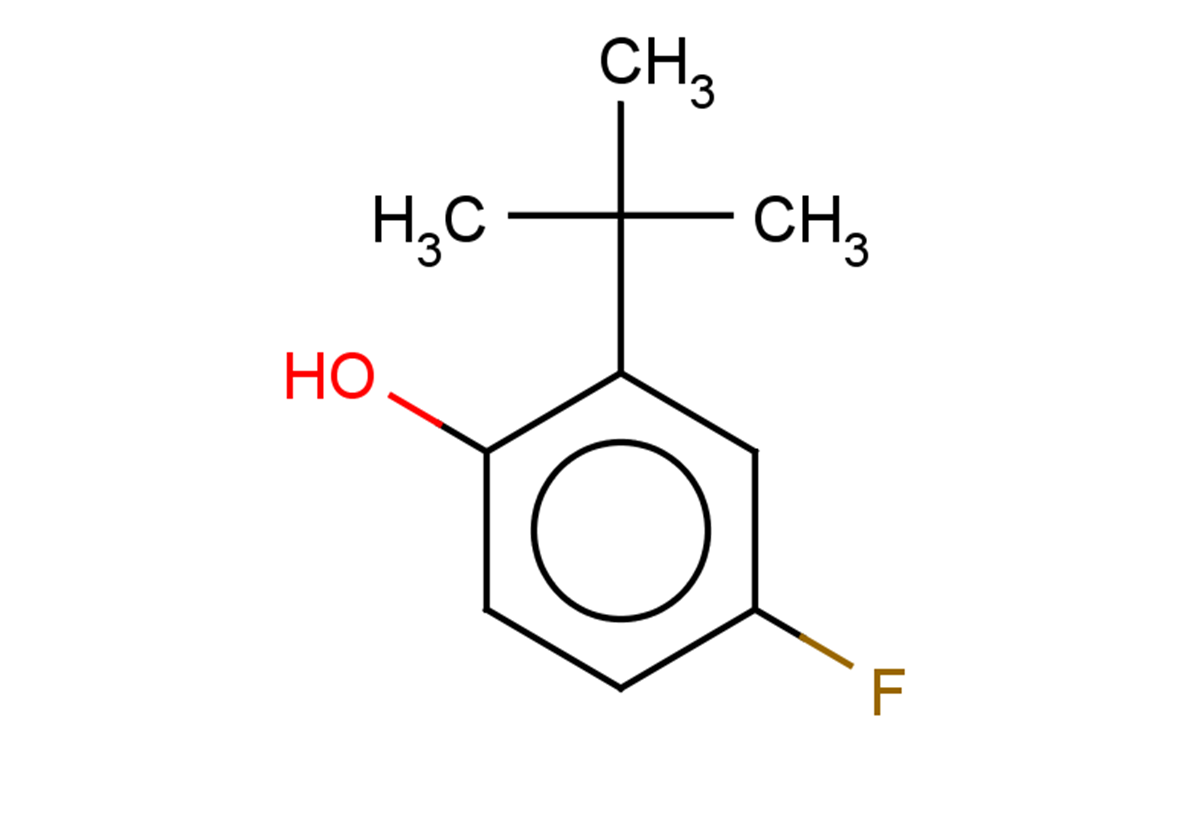 2-tert-butyl-4-fluorophenol