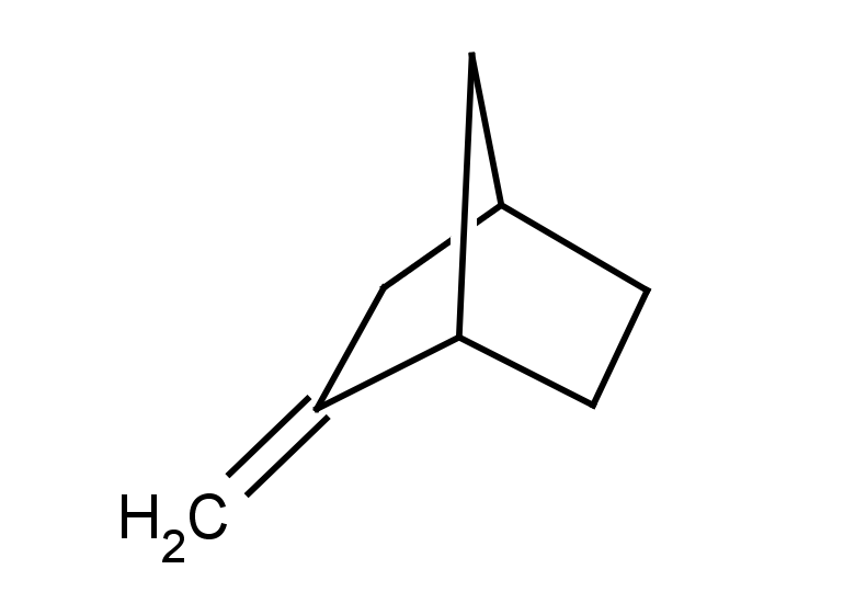2-methylidenebicyclo[2.2.1]heptane