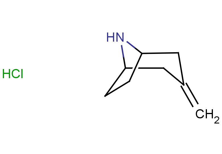 3-methylidene-8-azabicyclo[3.2.1]octane hydrochloride