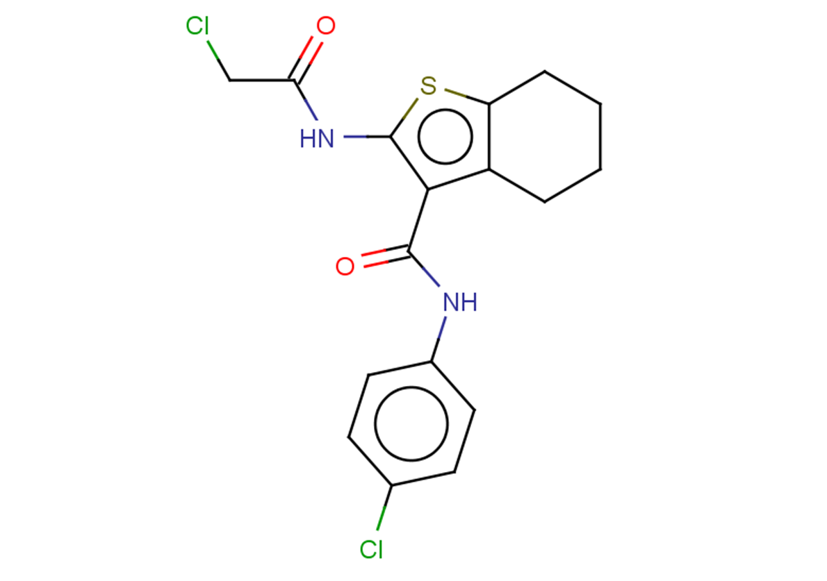 2-(2-chloroacetamido)-N-(4-chlorophenyl)-4,5,6,7-tetrahydro-1-benzothiophene-3-carboxamide