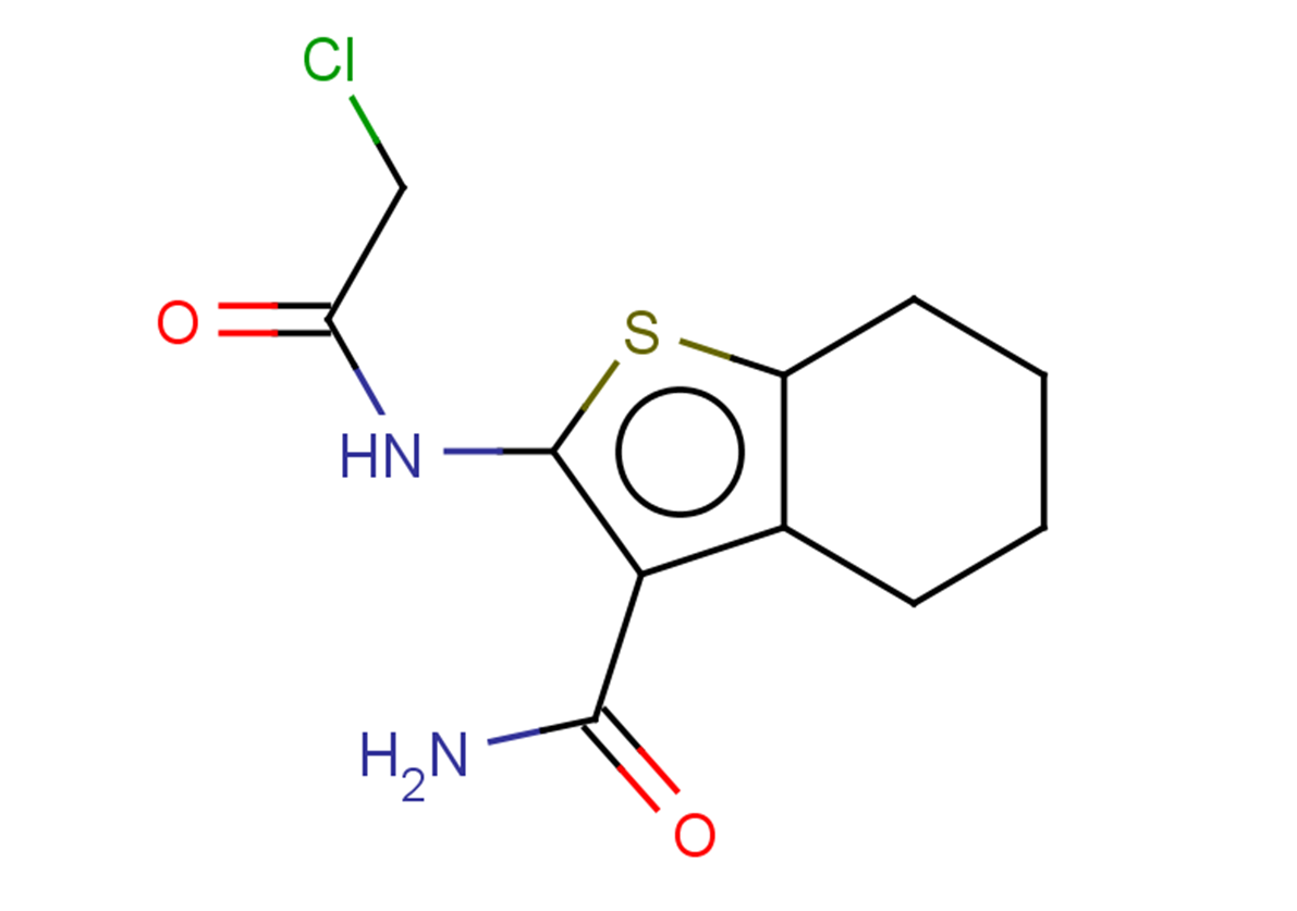 2-(2-chloroacetamido)-4,5,6,7-tetrahydro-1-benzothiophene-3-carboxamide