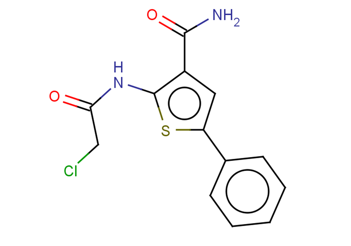 2-(2-chloroacetamido)-5-phenylthiophene-3-carboxamide