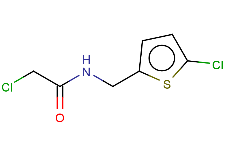 2-chloro-N-[(5-chlorothiophen-2-yl)methyl]acetamide