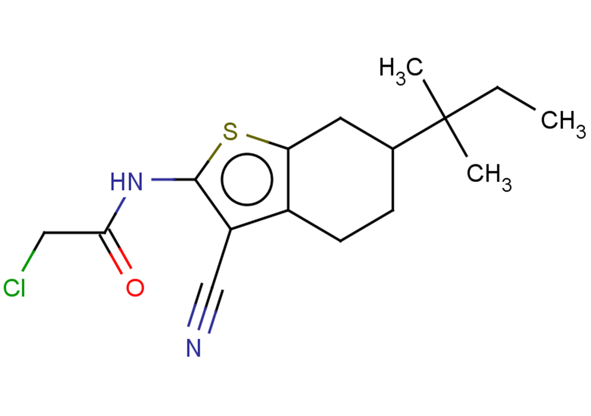 2-chloro-N-[3-cyano-6-(2-methylbutan-2-yl)-4,5,6,7-tetrahydro-1-benzothiophen-2-yl]acetamide
