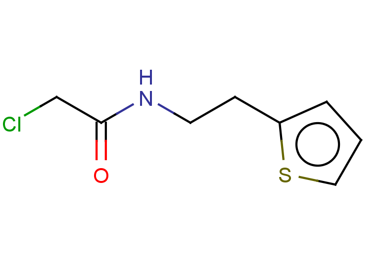 2-chloro-N-[2-(thiophen-2-yl)ethyl]acetamide