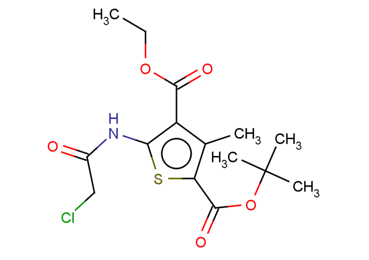 2-tert-butyl 4-ethyl 5-(2-chloroacetamido)-3-methylthiophene-2,4-dicarboxylate