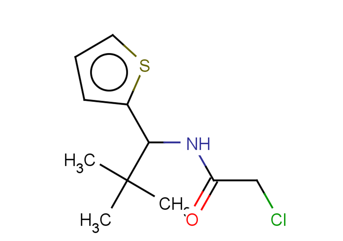 2-chloro-N-[2,2-dimethyl-1-(thiophen-2-yl)propyl]acetamide