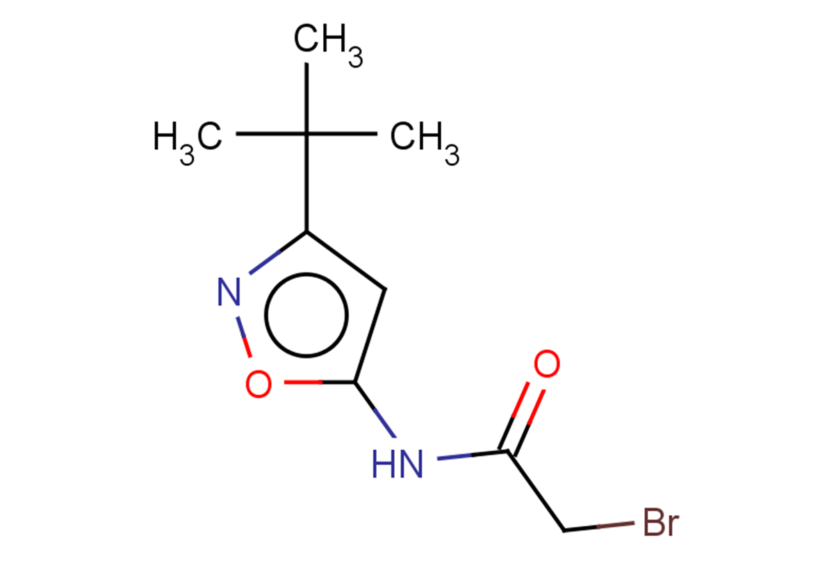 2-bromo-N-(3-tert-butyl-1,2-oxazol-5-yl)acetamide