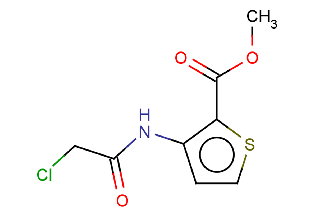 methyl 3-(2-chloroacetamido)thiophene-2-carboxylate