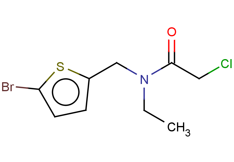 N-[(5-bromothiophen-2-yl)methyl]-2-chloro-N-ethylacetamide